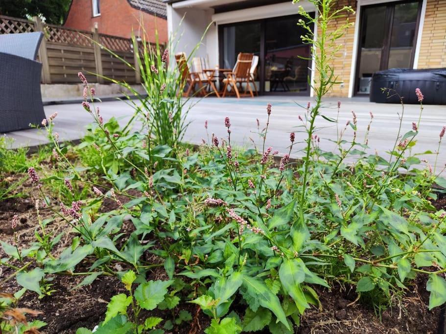 Appartamento Wohlfuehloase Gelsenkirchen Esterno foto